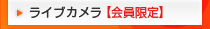 ライブカメラ【会員限定】