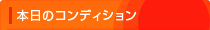 マリンボックス100