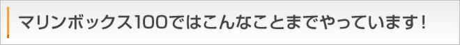 マリンボックス100ではこんなことやっています！