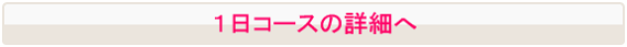 1日コース詳細へ