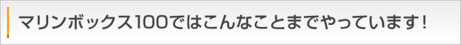 マリンボックス100ではこんなことまでやっています!