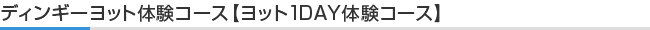 ディンギーヨット体験コース【ヨット1DAY体験コース】